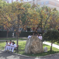 Beautiful Campus