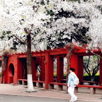 Beautiful Campus