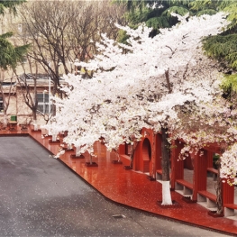 Beautiful Campus