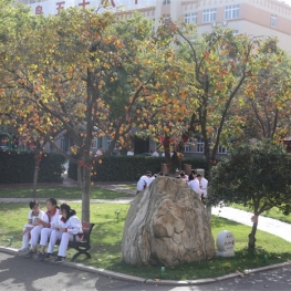 Beautiful Campus